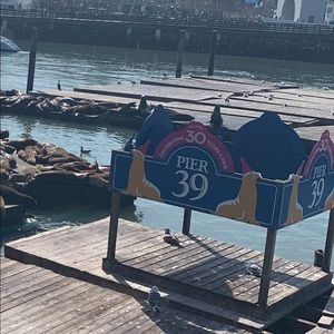 Meet your Posher, Jaden